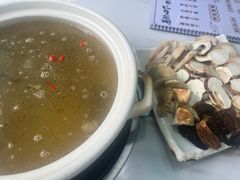 -蘑统田下·野生菌火锅