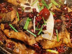 -老板恋上鱼(印象城店)