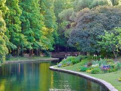 -上海共青森林公园