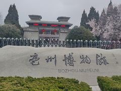 -亳州博物馆