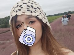 -嘉北郊野公园
