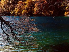 -叠溪松坪沟景区