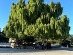 -北京西山国家森林公园