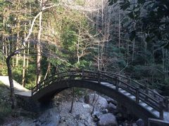 -花岩国家森林公园