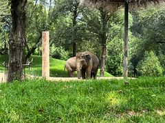 -北京野生动物园