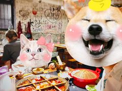 -洋马儿火锅(解放碑店)