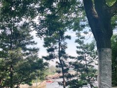 -蓬莱阁景区