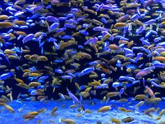 -成都浩海立方海洋公园