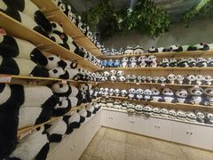 -海南热带野生动植物园