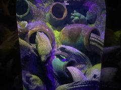 -太平洋海底世界