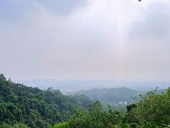 -火炉山森林公园