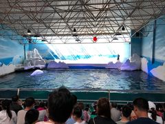 -秦皇岛乐岛海洋王国