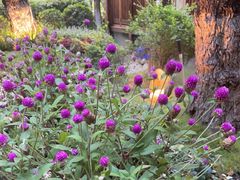 -大妙火锅·非物质文化遗产(东湖公园店)