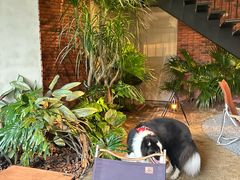 -J Create城市露营咖啡·简餐·宠物(上海动物园店)