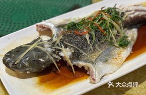 Slimming Fish in Mountain Spring Water