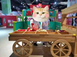 -塔塔王国·主题儿童游乐园(奥城商业广场店)