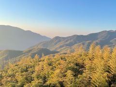 -江南天池