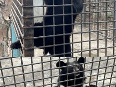 -水上乐园·欢乐世界