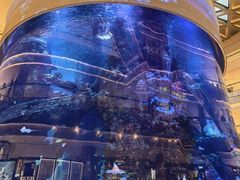 -观音桥步行街