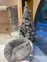 -本小姐美学·半永久纹眉野生眉