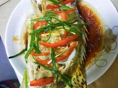 -爱的果实月嫂育婴师(世纪东方店)
