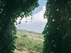 -侯臣咖啡文化村