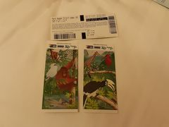 -新加坡飞禽公园