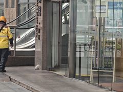 -中国移动(南泉北路营业厅)