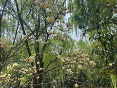 -白塘生态植物园