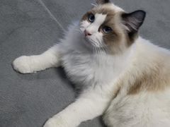 -零纪元VR体验馆·桌游(黄浦店)