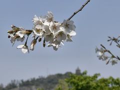 -上海辰山植物园