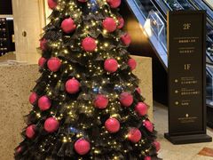 -上海锦江汤臣洲际大酒店壹阶层