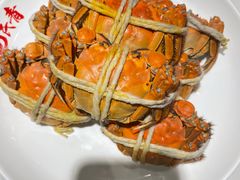 -杨氏青龙虾·羊蝎子(金盛路总店)