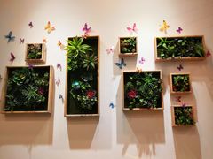 -北京华联合肥长江西路购物中心