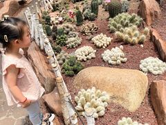 -南通洲际绿博园