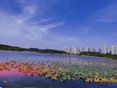 -丁香湖公园