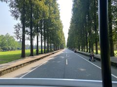 -青城山