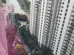 -新湖明珠城
