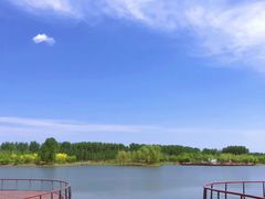 -东郊湿地公园