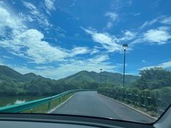 -径山花海