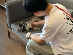 -仰生如卉推拿养生馆(酒仙桥店)
