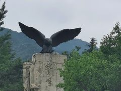 -北京鹫峰国家森林公园