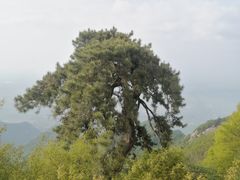 -终南山南五台景区