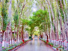 -艾提尕尔清真寺