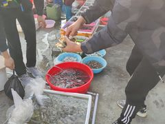 -霞涌市场海鲜摆卖区