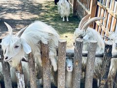 -水上乐园·欢乐世界