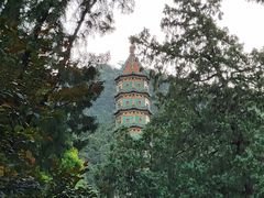 -香山公园