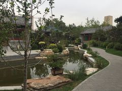 -迎泽公园