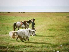 -青海湖国家重点风景名胜区