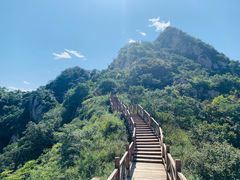 -大岭沟猕猴桃谷风景区